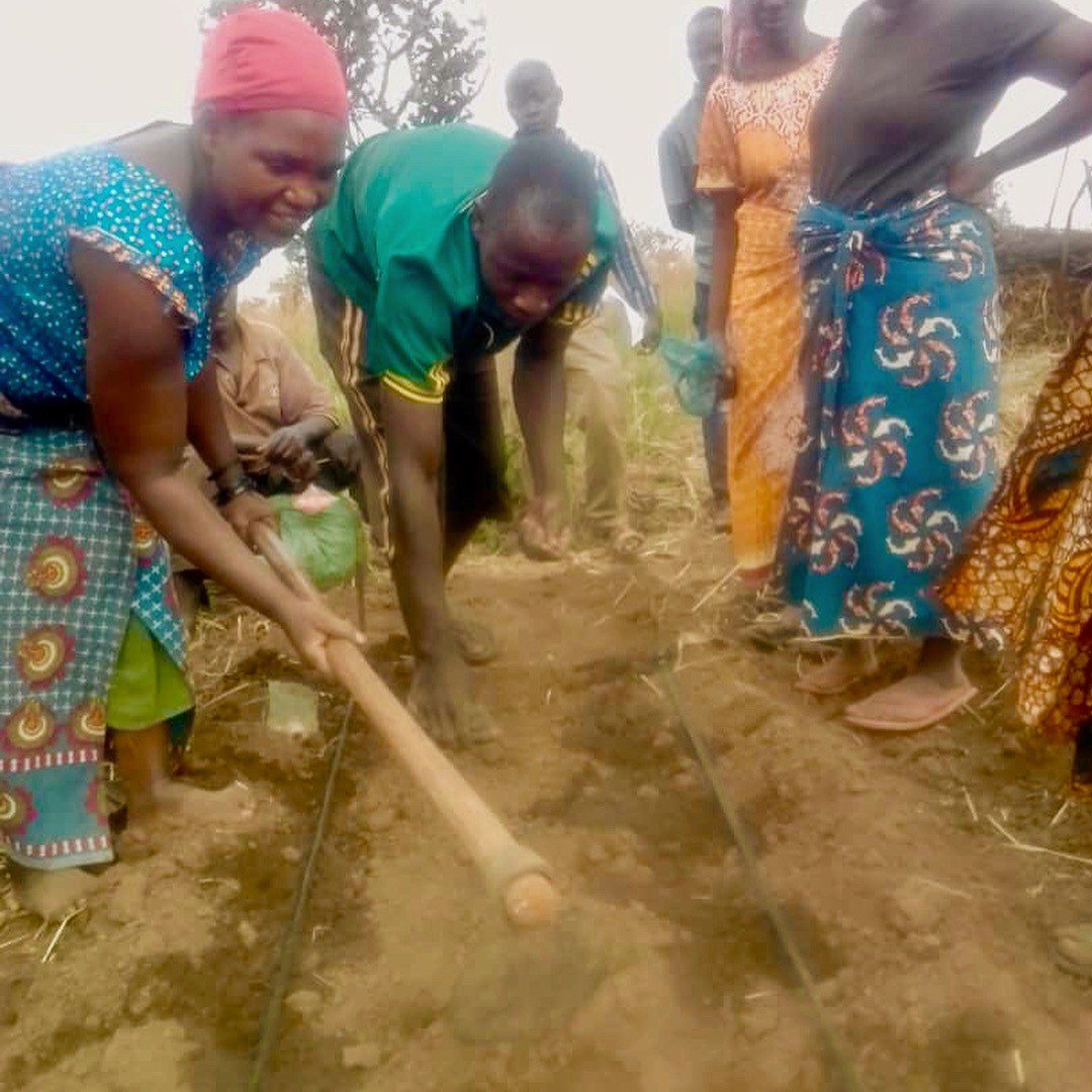 farmfromabox's tweet photo. Planting time in Kalimungoma with @WFP_Tanzania ! Drip irrigation makes a huge impact in strengthening the food production and livelihoods of rural farmers. Water smart solutions for better food security, dietary diversity and incomes. https://t.co/yRbk4861yS