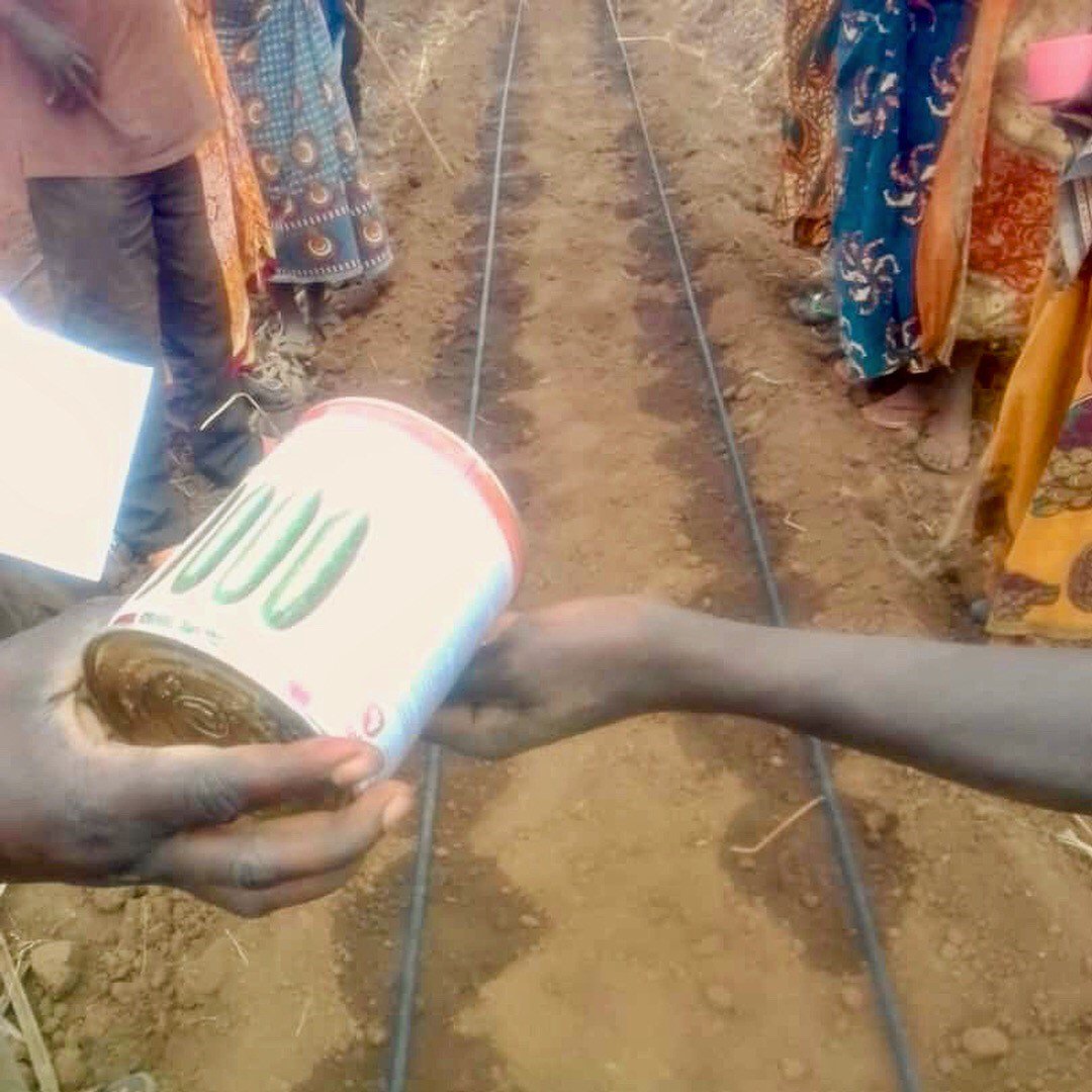 farmfromabox's tweet photo. Planting time in Kalimungoma with @WFP_Tanzania ! Drip irrigation makes a huge impact in strengthening the food production and livelihoods of rural farmers. Water smart solutions for better food security, dietary diversity and incomes. https://t.co/yRbk4861yS
