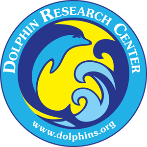 fieldtripzoom's tweet photo. Join us at the Dolphin Research Center tomorrow at 1pm EST.  Take your classroom on a great virtual field trip to learn about dolphins!  Grades 3rd - 9th. Click here to register: https://t.co/NPNfk8r2oz  @DolphinResearch #education #EdTech #virtualfieldtrips https://t.co/pC6s5IMLyC