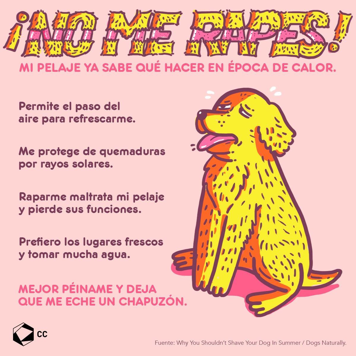 Por favor🐾🐾
#Perros #Increíbles #Mifamilia 
<a href="/ColDelValleBJ/">Colonia Del Valle, Benito Juarez, #CDMX</a> <a href="/PolancoMexico/">Colonia Polanco CDMX</a> <a href="/AlamosCDMX/">Colonia Álamos CDMX</a>