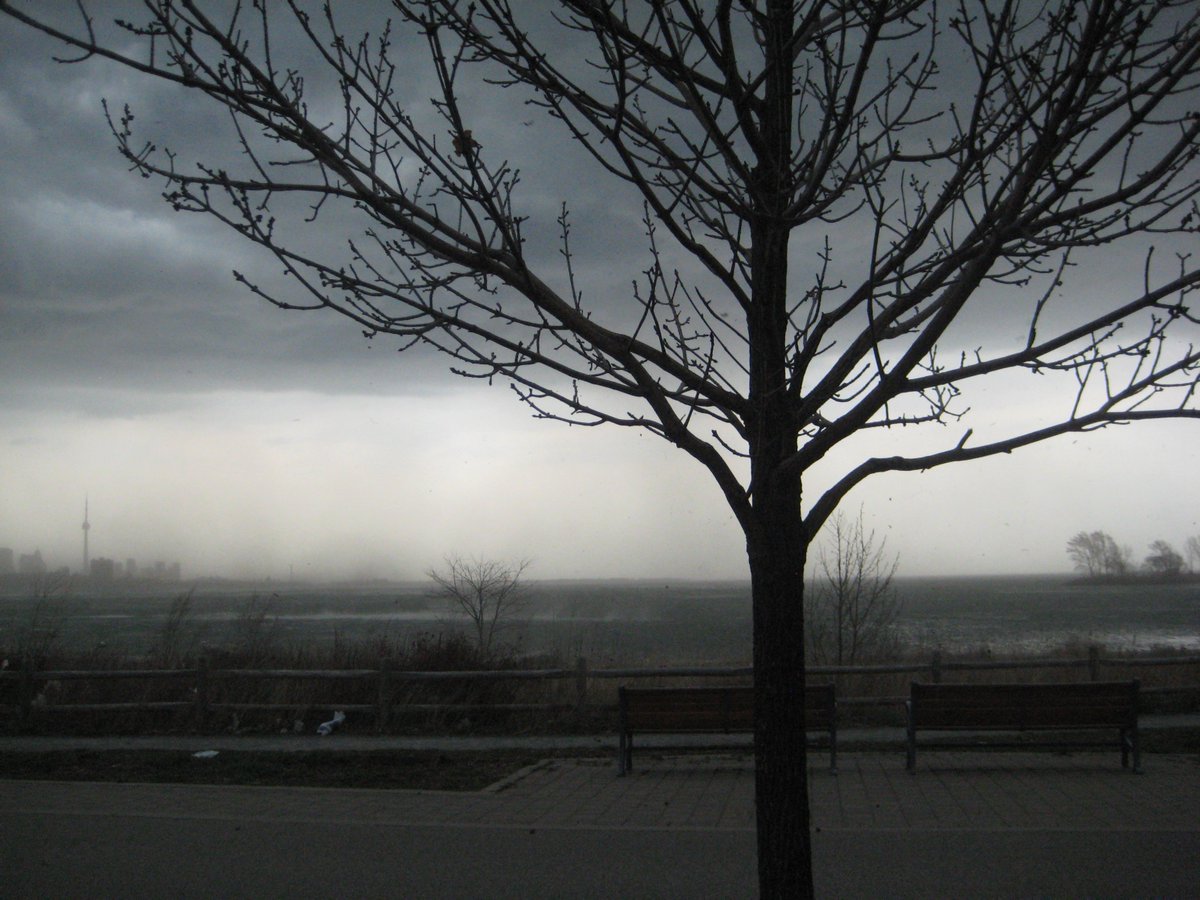 @toronto @CNTOWERTORONTO from the #stormy #lakeshore.
#silhouette #photography #photo #foto #fotografia
@LakeOntario @Ontario @Canada @Choco_Sandy1 @overjas @Biagio960 @GaiaGaudenzi @agustin_gut @saravastiares #stormclouds @hihi0806 @peac4love @MarieFrettoloso @dianadep1 @fryld