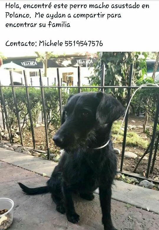 Ojo_Anzures's tweet photo. Nos ayudan a compartir? https://t.co/CPO5H7qjMa