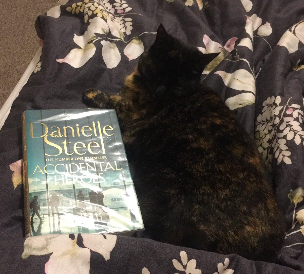 gemsimpkin's tweet photo. And in quick succession number 15 #Lancs50books finished - Accidental Heroes by @daniellesteel plus cat! 🐱 https://t.co/68E1EPx9k3