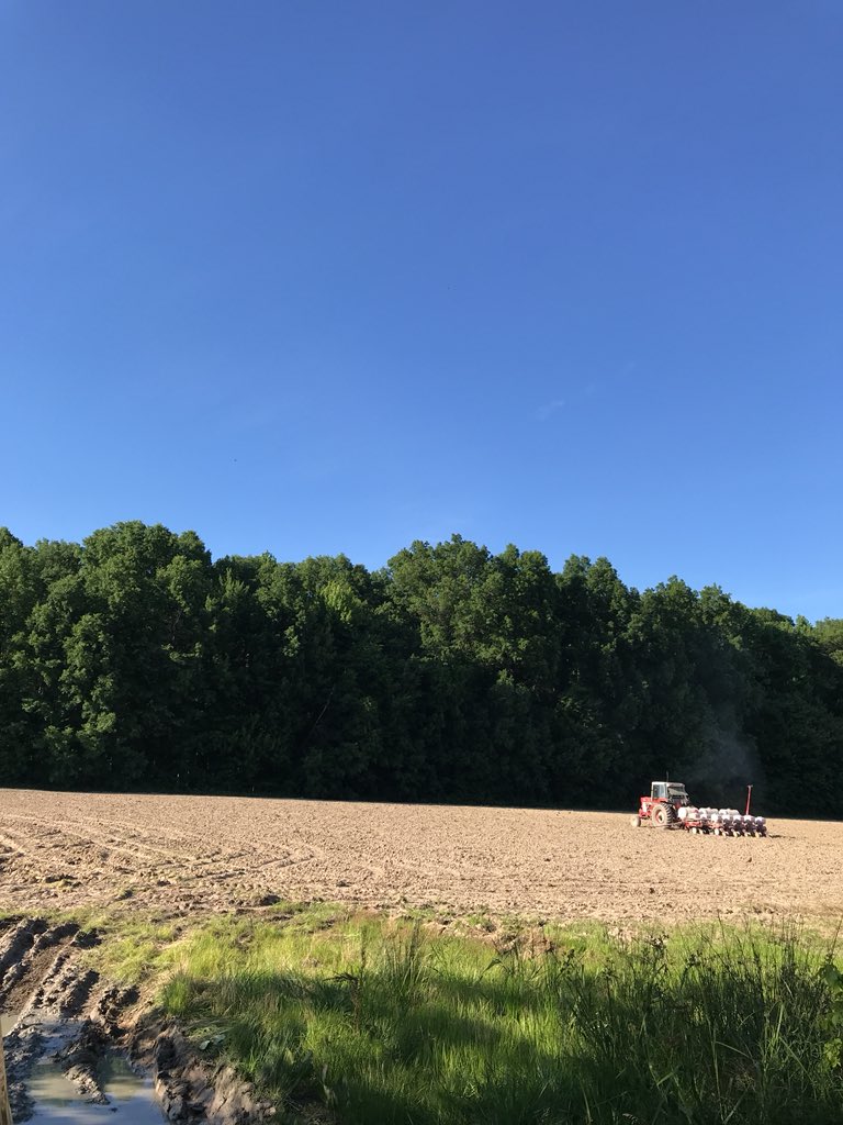 Finished with #plant18