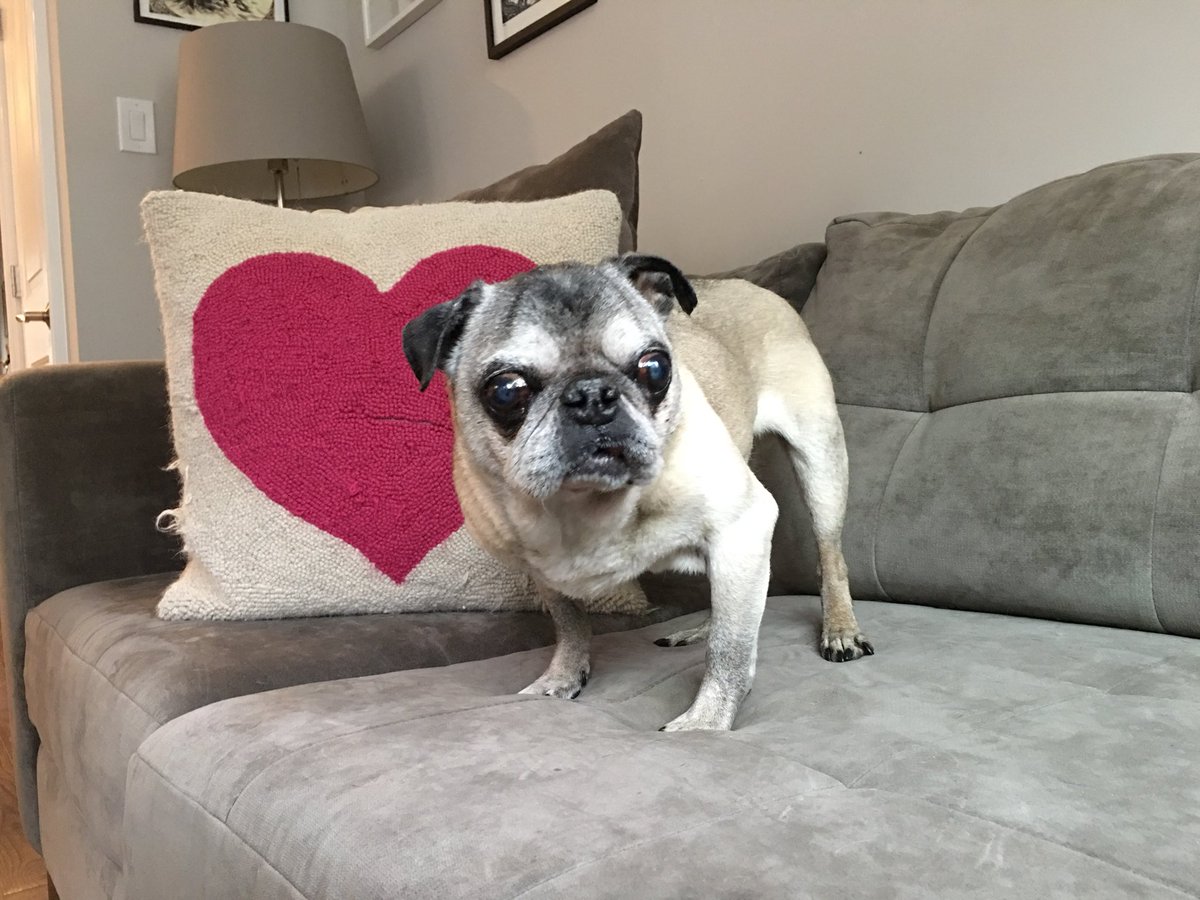 Hi pals. I hope you all had a good day.