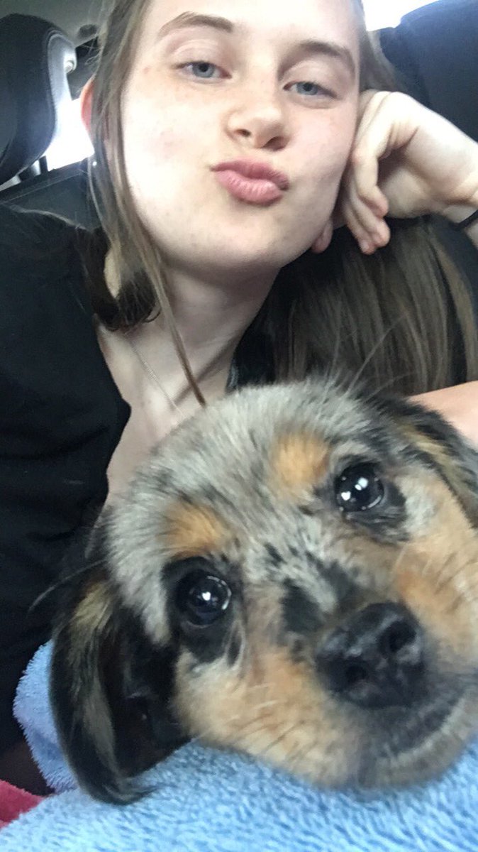 vietsmikayla's tweet photo. Everyone, meet Brutus 🐶💗 https://t.co/8kbsO5YjxW