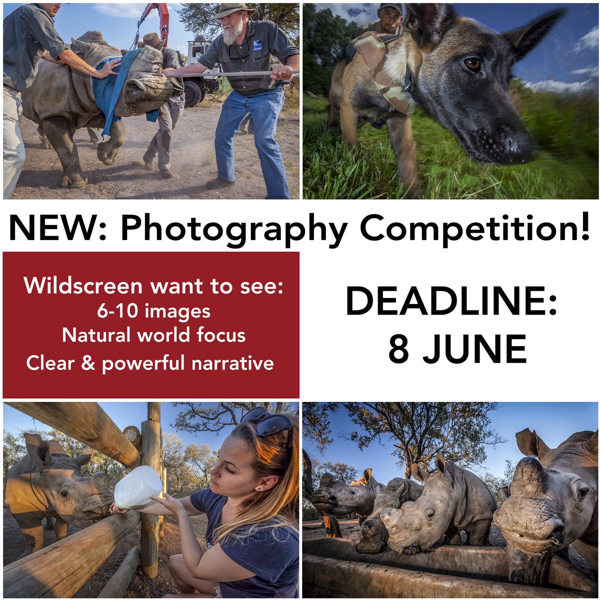 International League of Conservation Photographers tweet media