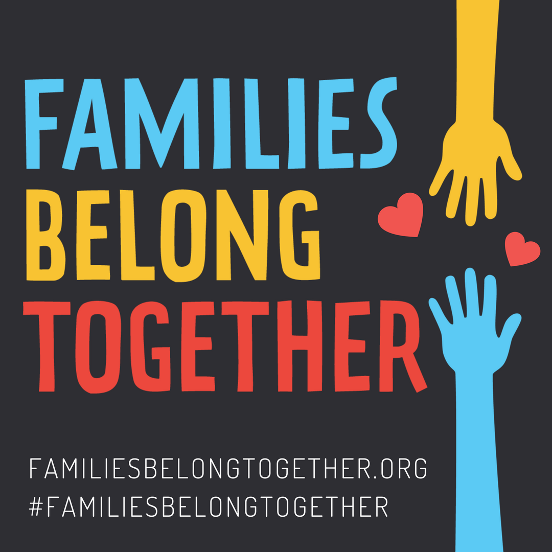 MarzenaZukowska's tweet photo. Love these graphics! Please share out. #FamiliesBelongTogether #DefundICE #DefundBorderPatrol https://t.co/uSRXjrQ9fP