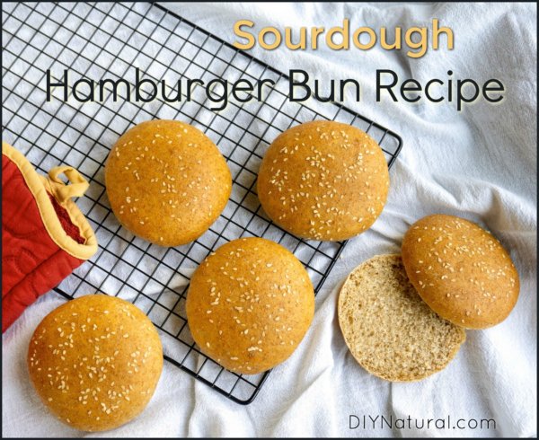 NaturalLife808's tweet photo. Recipe for Homemade Sourdough Hamburger Buns https://t.co/VvMWnHVzdV https://t.co/vPcFeiDwK5