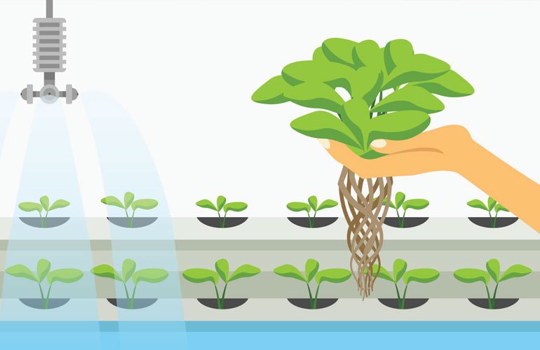 zenhydro_social's tweet photo. Ensure your plants are free from pests and full of nutrients so they can continue to grow! View our collection of #plantcare items and more ... https://t.co/L1Ams9PpwY
#zenhydro #hydroponics #growing #lighting https://t.co/YmyW3RUNzU