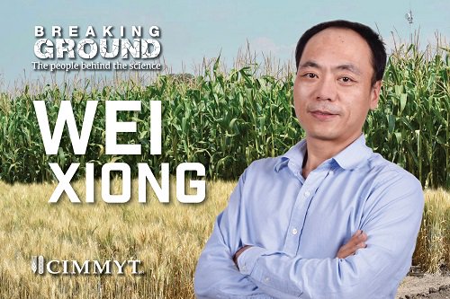 CIMMYT's tweet image. How could a new #policy in one country affect smallholder farmers in another? #cimmyt researcher Wei Xiong tackles these kind of complex questions through #modelingtools & #simulations. Learn more: bit.ly/2LMfWTB
#agriculture #climatechange #socioeconomics #foodprices