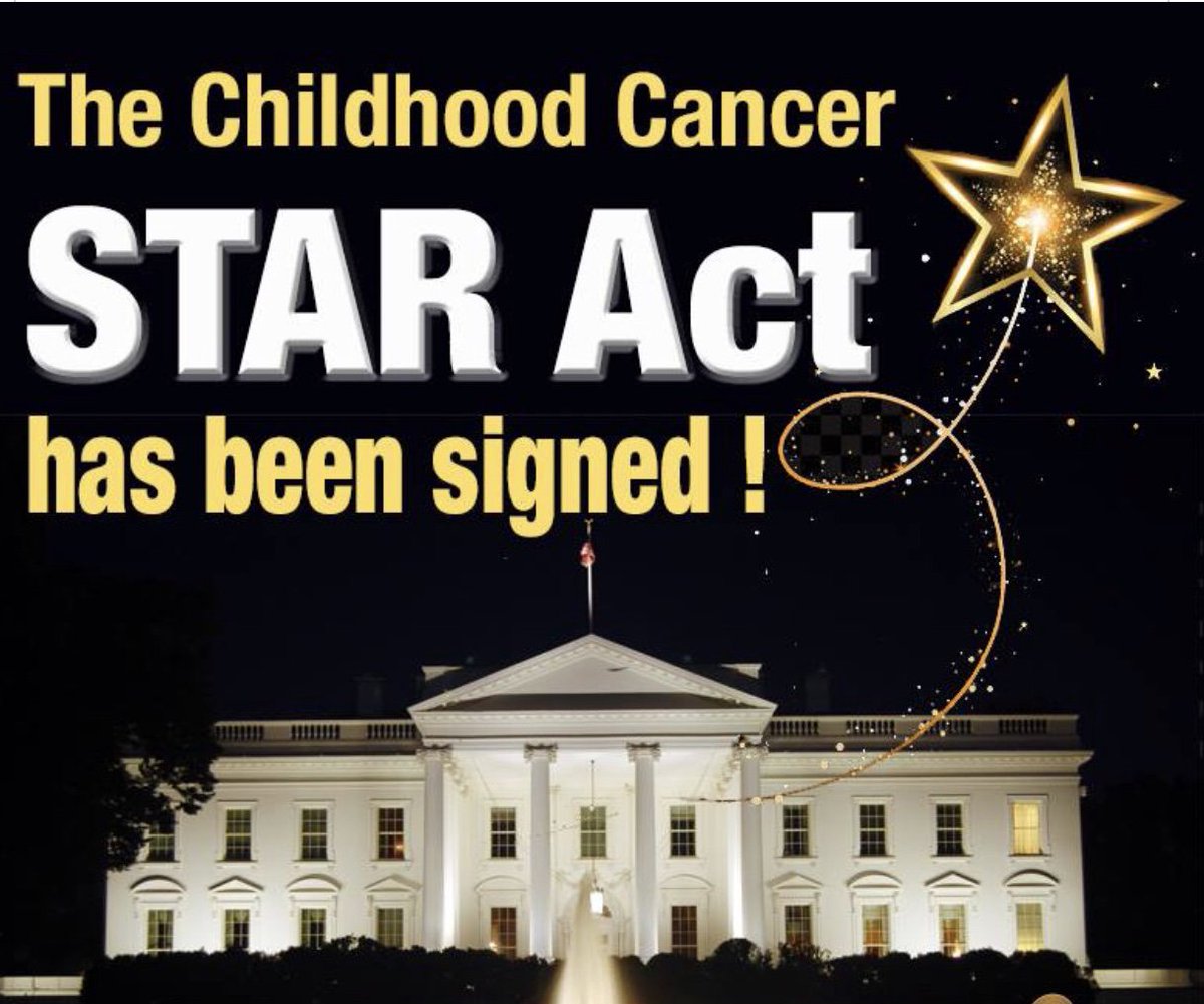 MissGCOT's tweet photo. Exciting News!  The childhood cancer STAR Act bill has been signed by President Trump and made into a law! It will provide better Survivorship, Treatment, Access, and Research for childhood cancer! Be bold &amp; #shareaheartofgold #raiseavoiceforchildhoodcancer #Limitless https://t.co/4jZSbIbQY5
