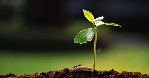 loudlearning's tweet photo. Students,
You are in a dark place not because you've been buried. Instead you've been Planted. Get ready to bloom! https://t.co/n0OI0wHZJQ