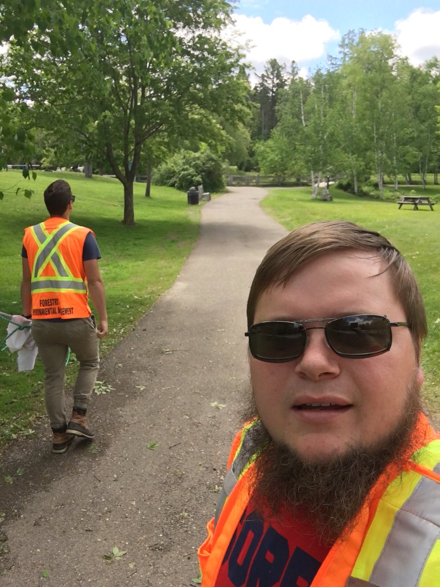 munn_douglas's tweet image. Turned into a beautiful day to sample for #BlackleggedTicks this afternoon in Fredericton but to no avail. Great tick habitat on the right, aside from the absence of presence 🤔 #Ixodes #research