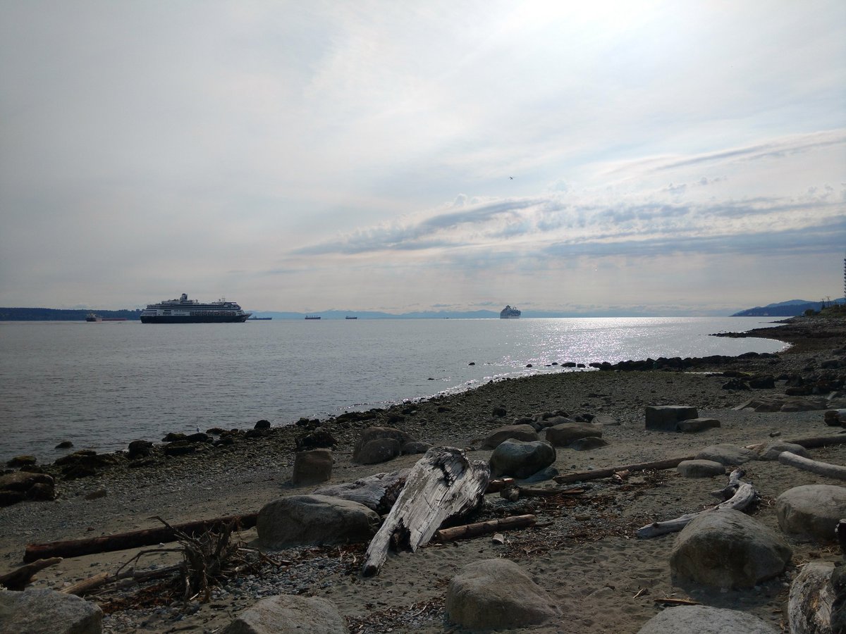 richardwalker00's tweet photo. Stunning Junuary afternoon @KGordonGlobalBC #WestVan #JohnLawsonPark https://t.co/GKAoBVgg90