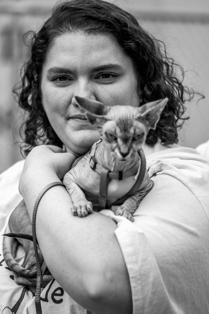 camera_alan's tweet image. #street #streetphoto #streetphotography #photo #pics #cat #kitten #blackandwhite #bnw #b&amp;amp;W #photography #pics #instagram #instagood #dsm #Dsmusa #iowa #grumpycat #angrycat #festival #fotografia #nior #hairless #urban #art
cameraexpressions.com
