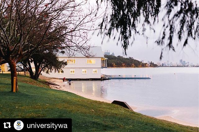 uwaboatclub's tweet photo. What a mighty fine side profile ππΌ- How couldnβt we repost this @universitywa
#uwabc #uwarowing #uwasport #uwastudents #rowingwa #rowingaustralia #oarsome #rowingislife https://t.co/AOQF2Jz7Ei