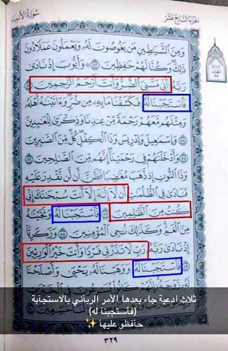 shahd Alfarra (@shoshofarra) on Twitter photo 