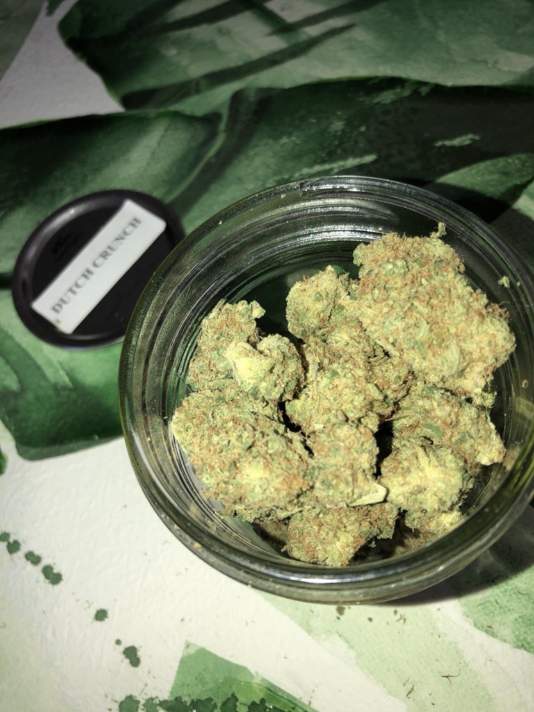 CSECONDKINGDOM's tweet image. New Strain Alert 🚨 Dutch Crunch 👀 suuuuper dense 🔥 #dutchcrunch Sativa dominant hybrid 🌞 #sativa #hybrid #indica #topshelf #cannabis