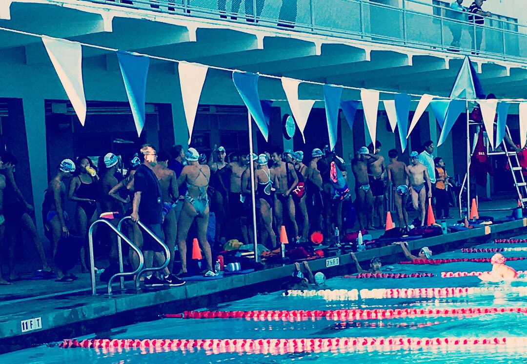 BlastSharks's tweet photo. School is out & summer underway!! #busylanes #swimmerproblems #blastsocalchampions #blastsocal #lotsofblastblue https://t.co/tPbZ8TUH7x