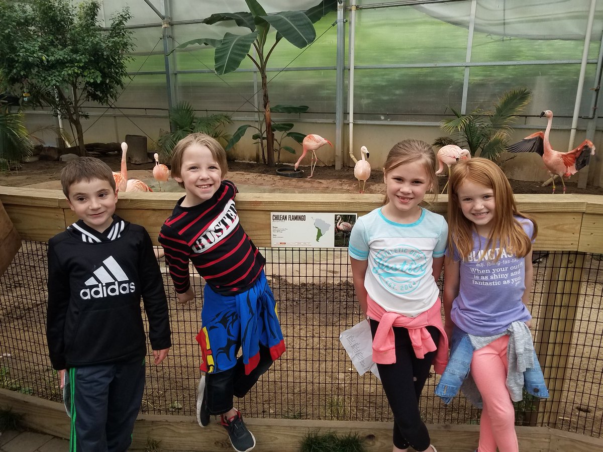 1VORoom201's tweet photo. 1VO had a great time at the Roger Williams Zoo! @CommunityComets @NACurriculum https://t.co/nM57pVLkpv