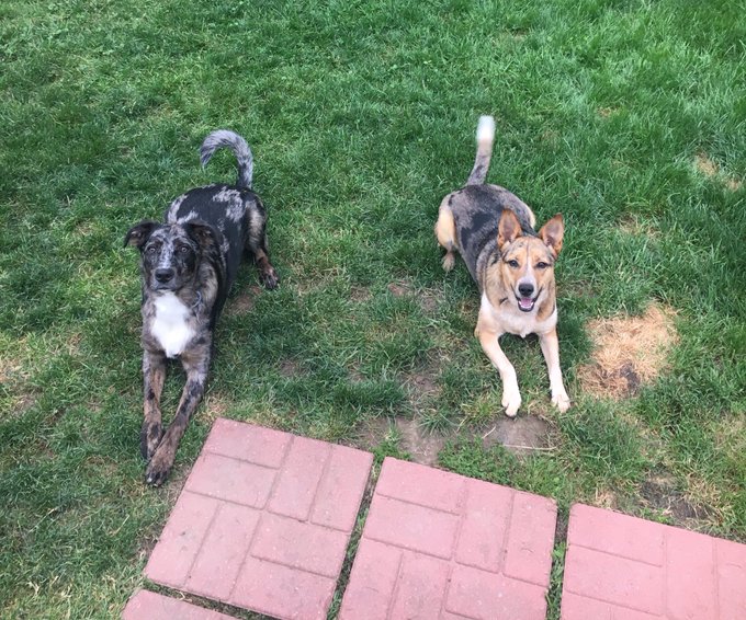 My entire heart. https://t.co/nkOSwo7Xcl