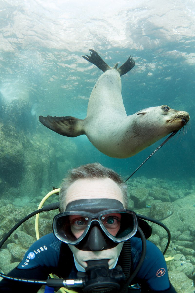 CanaryScuba's tweet photo. Awesome shot from @unsplash https://t.co/RoUr44YdYL