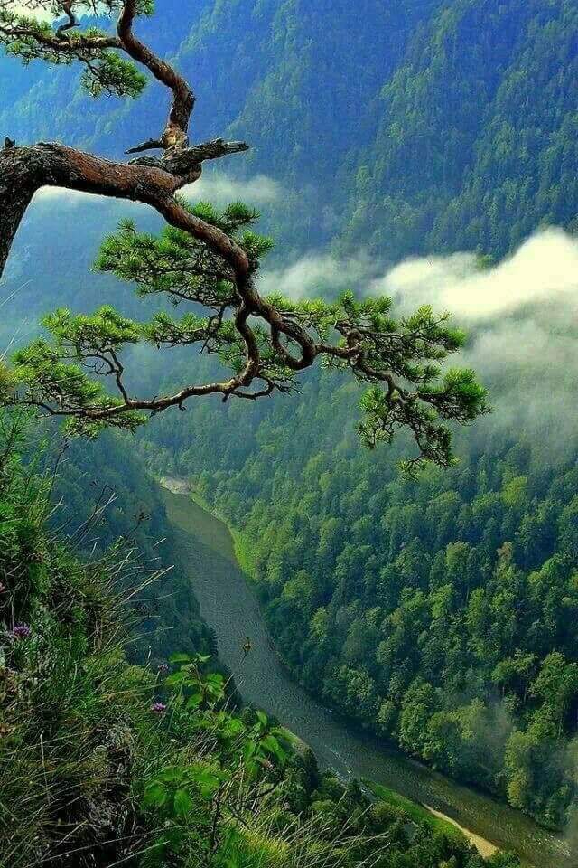 walidalhadad203's tweet photo. https://t.co/FWdnSr3kkd