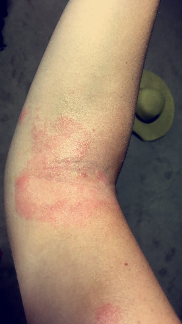 Beth murray tweet media