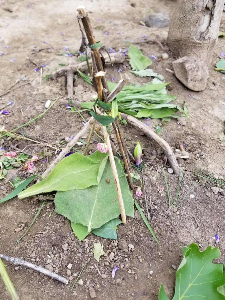 ugdsb's tweet photo. MT @ArbourVista: Do you see what I see? #nutritionbreakexplorations #rabbithome #insecthouse #fairyhouse It's all about #imagination and #creativity #Kto3 #rediscovering https://t.co/sFUOUAybSA