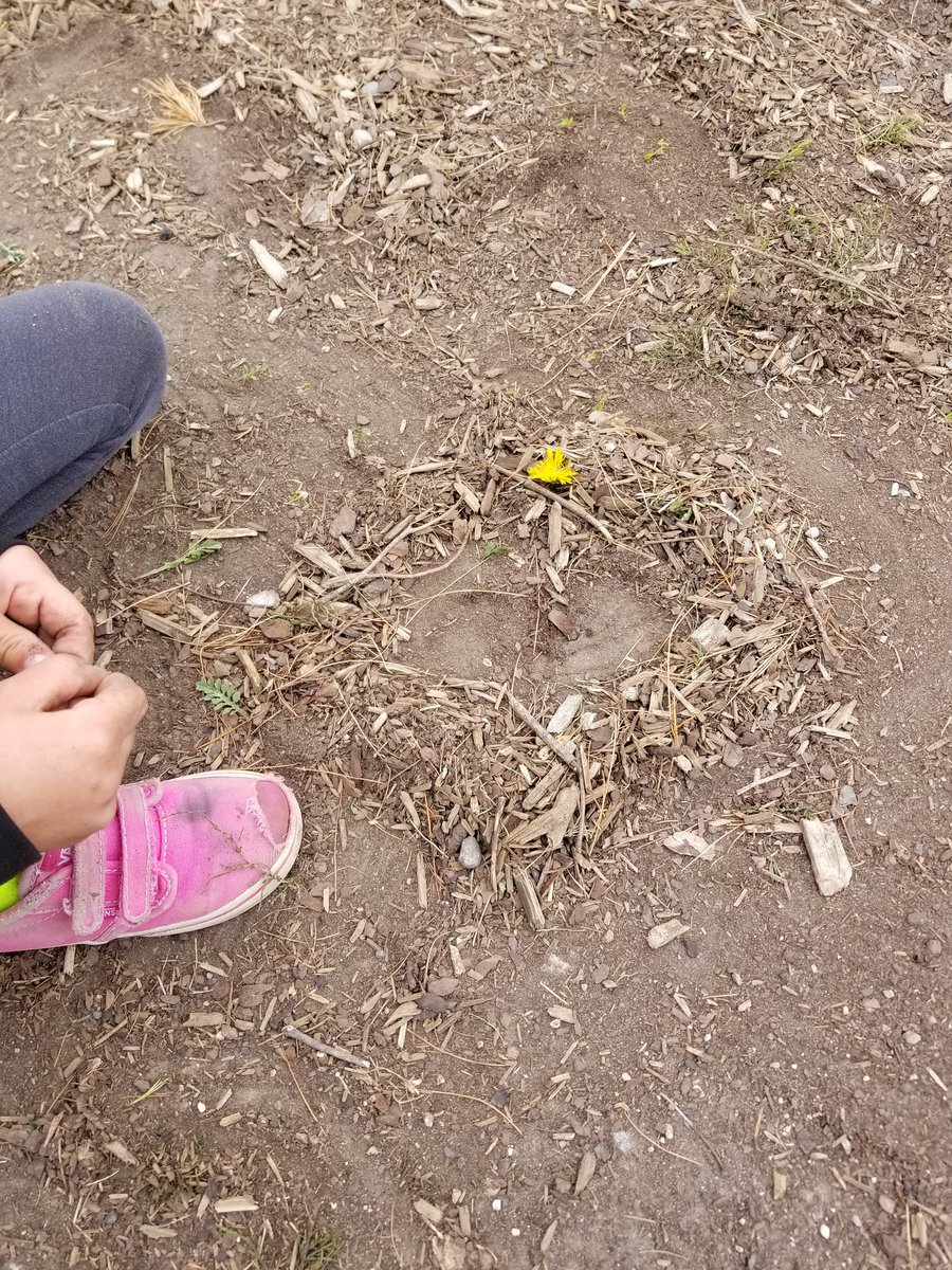 ugdsb's tweet photo. MT @ArbourVista: Do you see what I see? #nutritionbreakexplorations #rabbithome #insecthouse #fairyhouse It's all about #imagination and #creativity #Kto3 #rediscovering https://t.co/sFUOUAybSA
