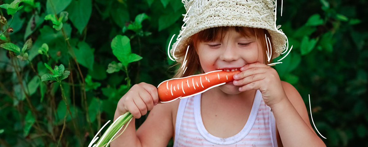 EmilyCrowe1993's tweet photo. Life Education in collaboration with Yates Gardening are encouraging schools to apply for a $1000 grant to help create a garden. This is a valuable and supportive resource for schools when implementing a vegetable garden. https://t.co/cZKt07N6z9 #UoNTeach https://t.co/8qAL9BmCqO