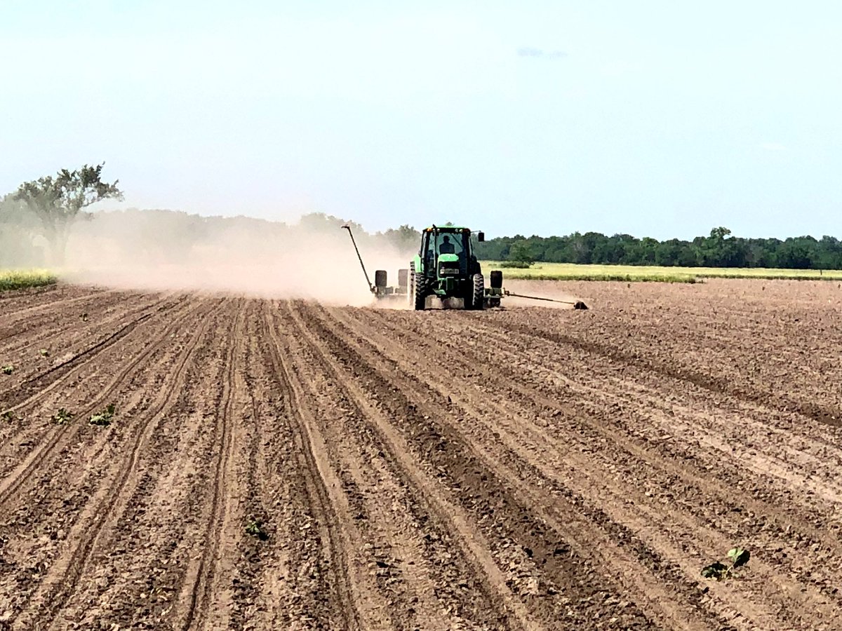 3g_seed's tweet photo. We have been busy and haven’t posted for a while but we are still hammering away at #Plant18   Two more plot sets in the ground today!  The end is near! https://t.co/rLFqRKTNvB
