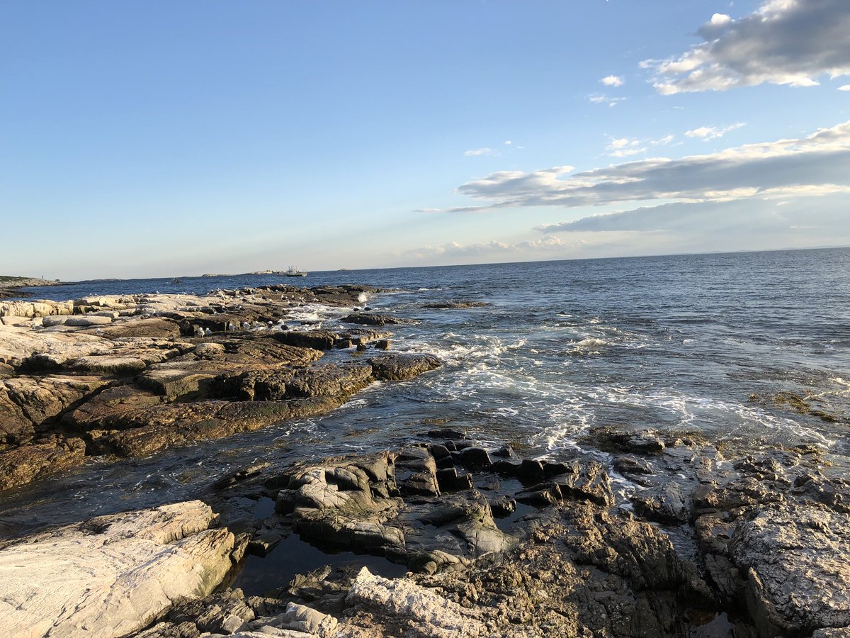 MEEGSML18's tweet photo. Exploring the shore 🌊 #AppledoreIsland #wemayhavedisturbedsomebirds #MEEG #shoalsmarinelab https://t.co/2gdhHTZiUM