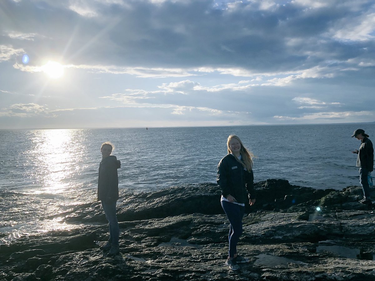 MEEGSML18's tweet photo. Exploring the shore 🌊 #AppledoreIsland #wemayhavedisturbedsomebirds #MEEG #shoalsmarinelab https://t.co/2gdhHTZiUM