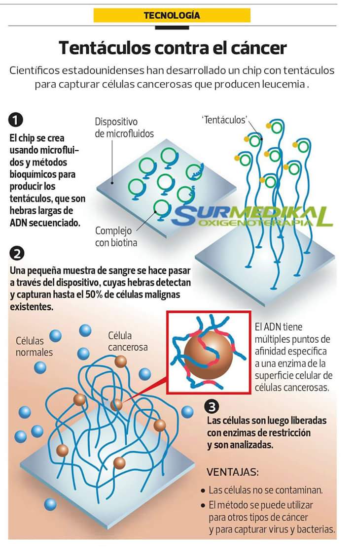 DoctourMundo's tweet photo. TENTACULOS CONTRA EL CANCER: https://t.co/wmz2LPtSvX