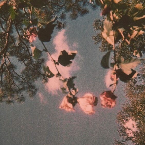 softyooncream's tweet photo. ¿Cómo chucha a nadie se le ha ocurrido hacer un fic vkook donde Tae esté maldito y destinado a no ser amado nunca más de nuevo, hasta que jk, sin explicación alguna, se enamora de él? bitch, si hay alguien que tenga talento para este arte, contácteme y me hago su mejor amiga. https://t.co/uiIHpao86J