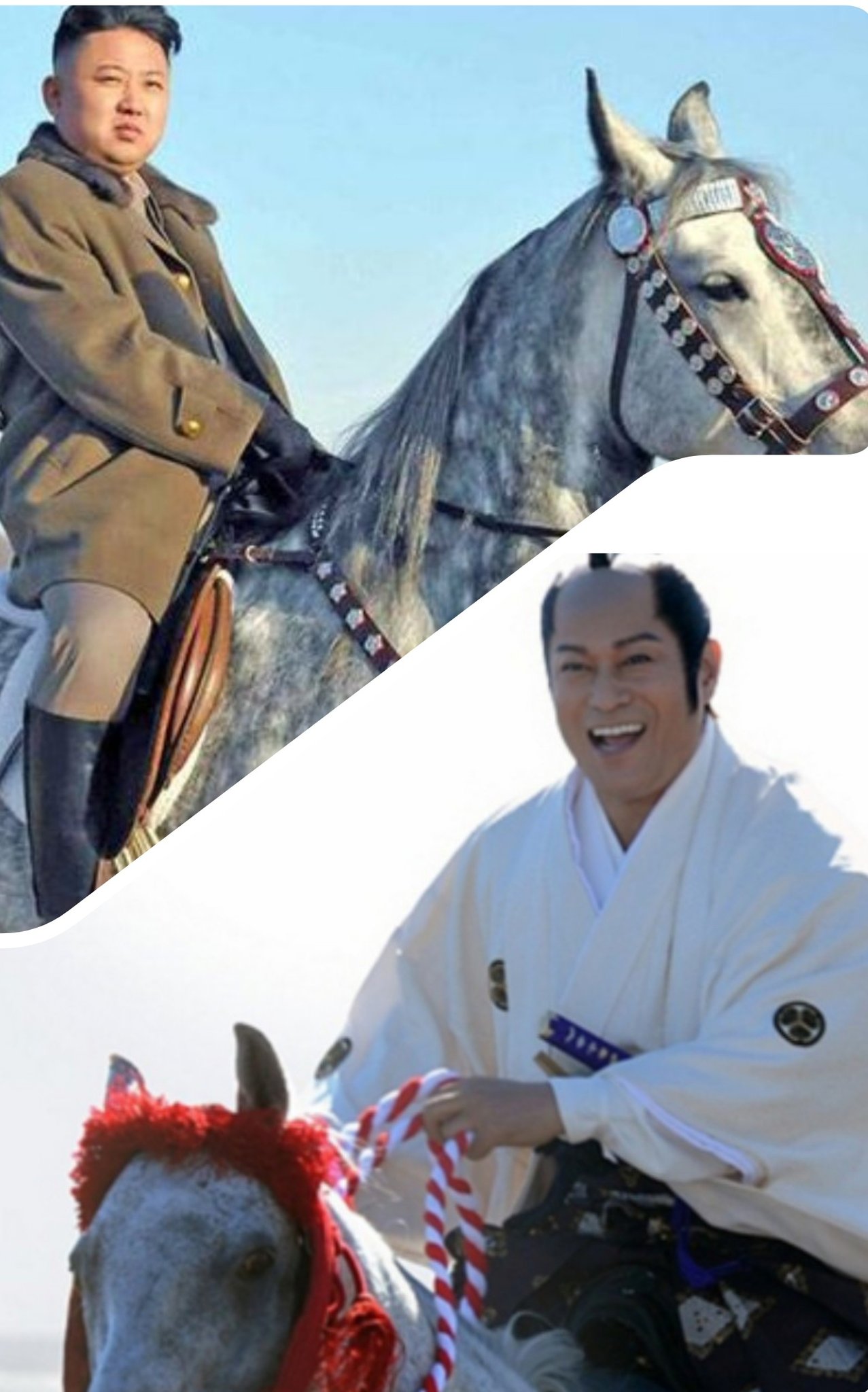 【専用】白馬に乗った王子様を探す旅様 白馬に乗った王子様はどこ？ by saratna - DistroKid
