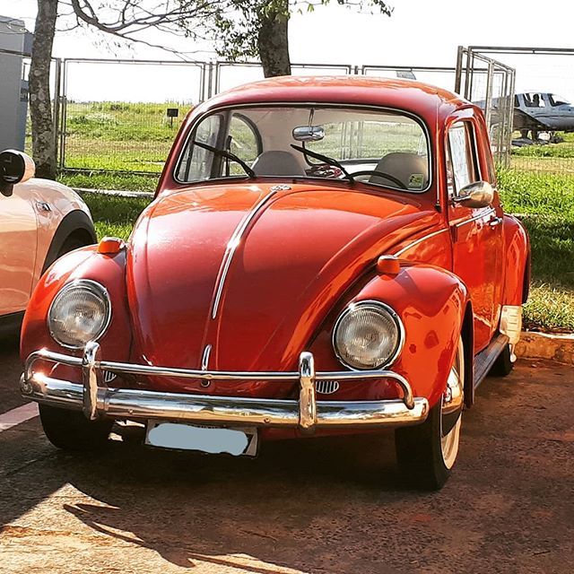 🐞 #vw #volkswagen #beetle #bug #vwbeetle #carroantigo #classiccar #vdub #aircooled #fusca #vwfusca #vocho #kafer ift.tt/2sMpbL3