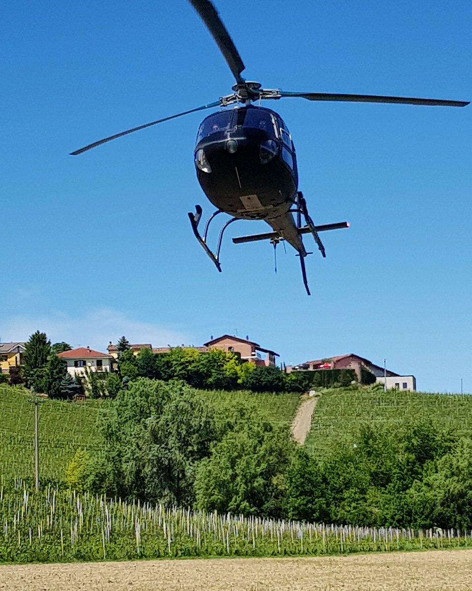 winewankers's tweet photo. "Get to the chopperrrr!"
Have you ever taken a #helicopter trip over #wine country?
This was the best way to see the vineyards and villages of #Roero, #Barbaresco and #Barolo!
#postbyconrad #nebbioloprima @DemiCassiani @pietrosd @MacCocktail @suziday123 @frankstero @Fiery01Red https://t.co/7Bxzgo62M8