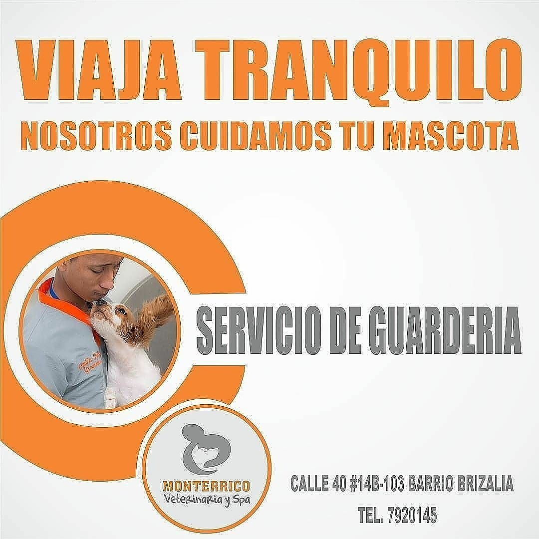 monterricovs's tweet photo. https://t.co/mTCYi3Lq4w