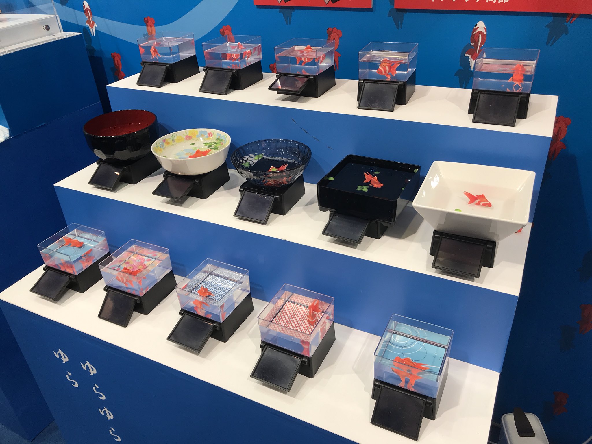 Aminews على تويتر 東京おもちゃショー18 タカラトミーアーツ ひかりとみずのカラクリ金魚 琉金 出目金 おもちゃショー おもちゃショー18 Aminews على تويتر 東京おもちゃショー18 タカラトミーアーツ ひかりとみずのカラクリ金魚 琉金 出目金 おもちゃショー おもちゃショー18
