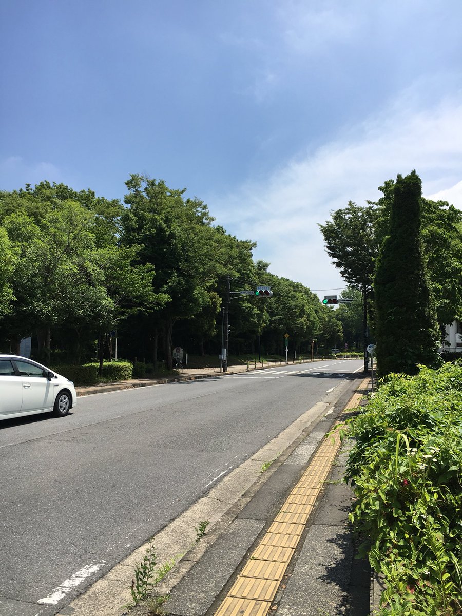 和田丈嗣/George Wada (@gwada_wit) / Posts / X