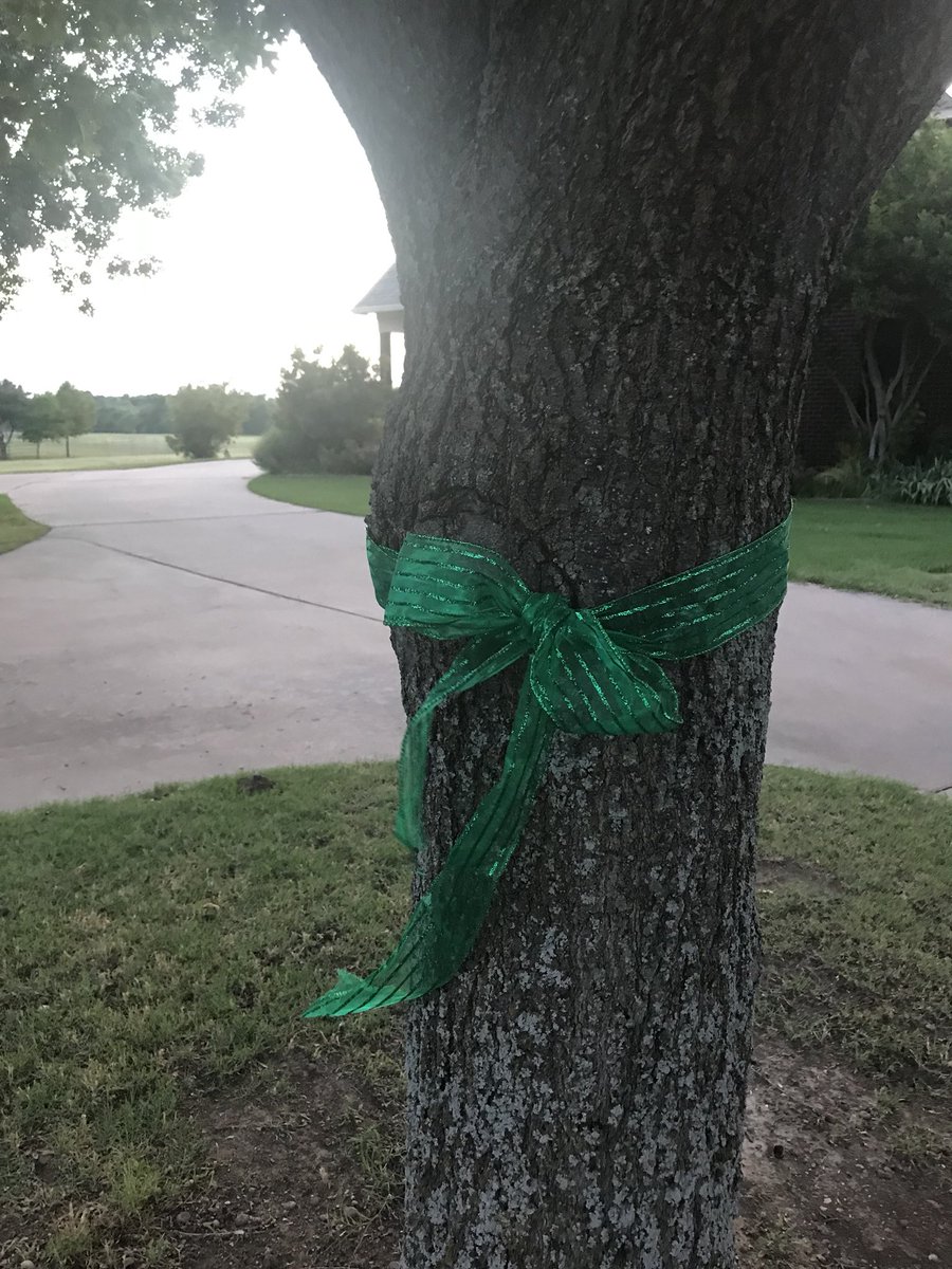 MaryC_Williams's tweet photo. Dr.Watkins needs our prayers! Green ribbons in Prosper #welovedw @ProsperRogersMS  @toddshirle @ProsperPress @WeAreProsper https://t.co/gTrdgC7Dzl