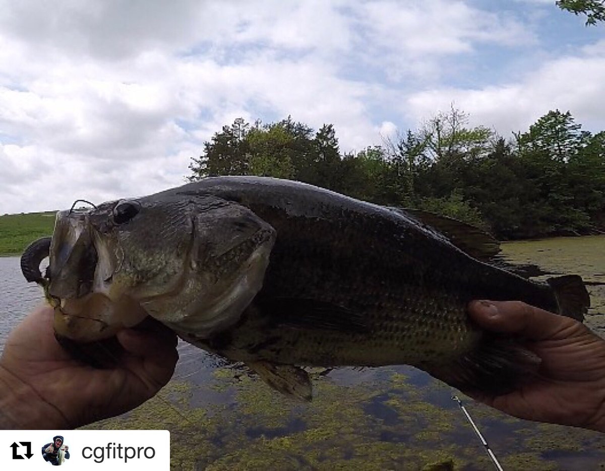 BassBrosTweets's tweet photo. @cgfitpro smoking them on the @doomsdaytackle Laggin Dragon #BassBros #doomsdayfam #fishtotheend #largemouthbass #bassfishing #fishing https://t.co/tM0ckgKowd