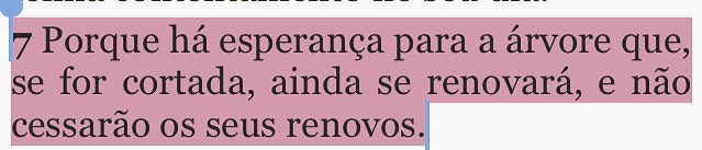 JaquelineBofim's tweet photo. Jó14:7 https://t.co/NKwHENEiLw