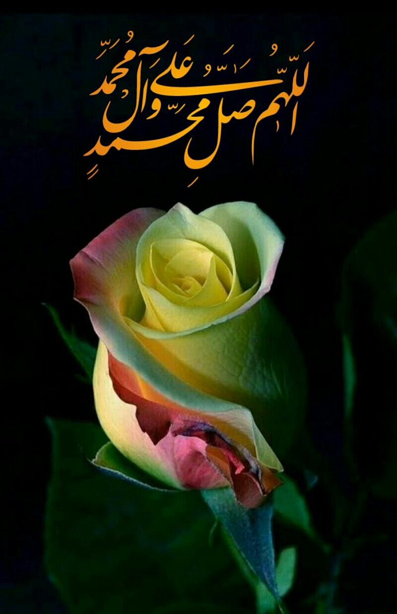 <a href="/No______Ne/">أوتآرعذبة🎀</a> <a href="/NoNeNoNe266/">🎀لاتقارني بغيري🎀</a> <a href="/M___a1999/">Ma</a> <a href="/k80861170/">حسن السعيدي</a>