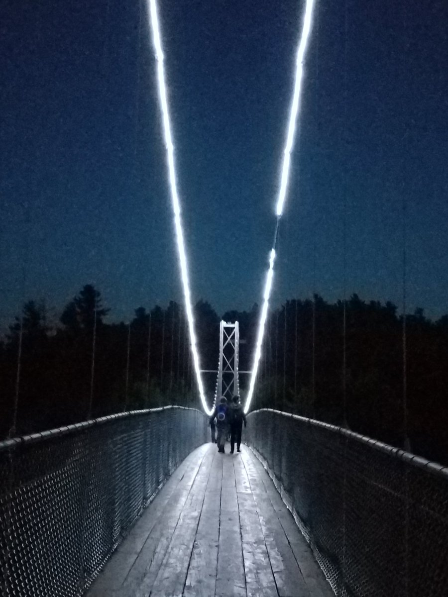 Foresta Lumina - get your tickets. You have to see this!!!