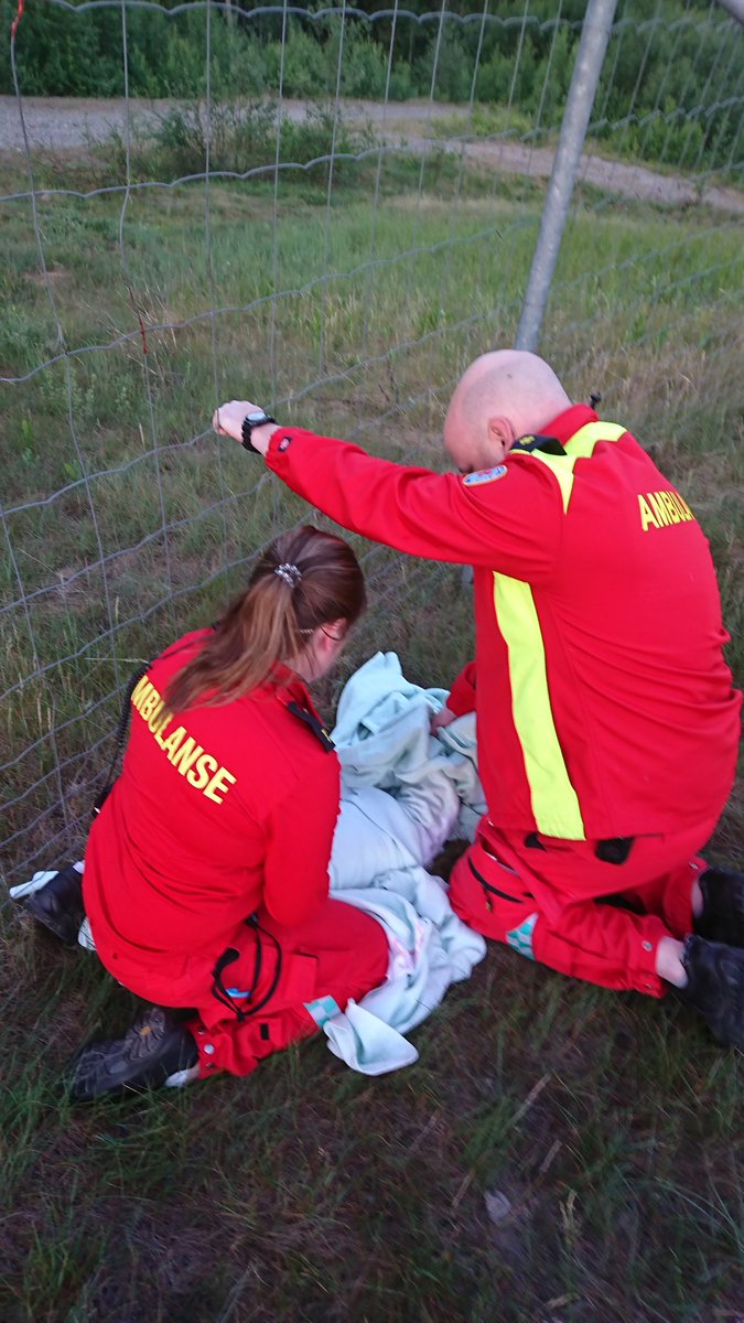 TrondEllings1's tweet photo. The diversity in EMS. Helping out an injured roe deer at the highway. #Norway #Ambulance @EMS1 https://t.co/ocupp6NLSw