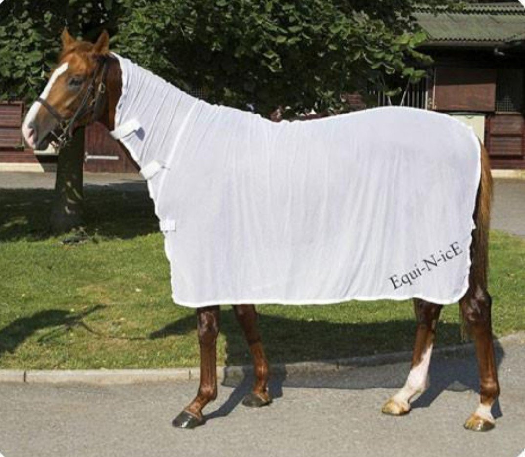 Of all our new brands <a href="/EquiNicE/">Equi-N-icE</a> is the one we are most excited about from an #equinewelfare perspective. Clinically proven to make your horse recover faster. This is an essential for any first aid or competition kit! 
equissimo.co.uk/collections/eq…
#teamequissimo #247equestrian